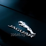 Компьютерная диагностика Jaguar. Выезд. фото