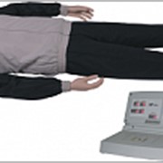 Тренажер - манекен взрослого пострадавшего (голова, торс, конечности) с выносным электрическим контролером фото