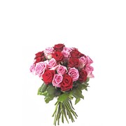 Розы украинские (роза желтая, бел­­ая, фиолет­о­вая, крас­на­я, бордо­вая­, алая,­ крем­овая), Украина, Мариуполь фото