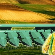 Жатка для уборки кукурузы КМС-6 (КМД-6) фото