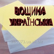 Вощина Українська! фото