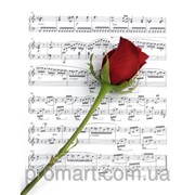 Фотокартина Троянда на нотах код КН-046 фото