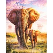 Алмазная мозаика на подрамнике Слоны 40х50 см (картина стразами) (AR8692) фото