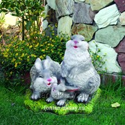 Зайцы семья фото