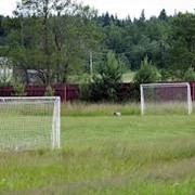 Аренда спортивных площадок фото