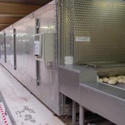 Морозильный тоннель б/у SKT, производительность 1000 кг/час