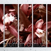 Модульна картина на полотні Червона орхідея код КМ100150(150)-243-ANT фото
