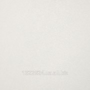 Напольная плитка Vampa white (керамогранит)448x448 / 8,5mm