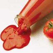 Добавка для Производства кетчупов, соусов и майонезов «СТЭММ» СГ фото