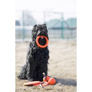 Doglike Doglike снаряд кольцо 8-гранное, оранжевое (M) фото