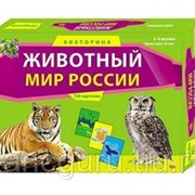 Настольные игры Рыжий кот Викторина “Животный мир России“ 150 карточек 6+ фото