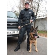 Охрана с использованием служебных собак фото