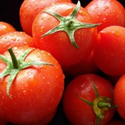 Томат Дональд, купить томат без ГМО, помидор Дональд