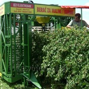 КОМБАЙН ДЛЯ СБОРА МАЛИНЫ И ЕЖЕВИКИ фото
