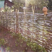 Забор из лозы ивы кустарной