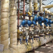 Проектирование теплиц фото