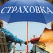 Cтрахование туристов фото