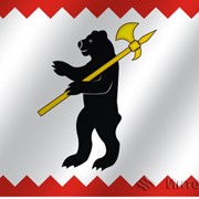 Флаг города Малоярославец (Калужская область) фотография