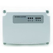 Реле двухканальное Артикул: P30 фото