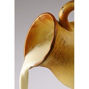 Вкусоароматические композиции на носителях - “аромат молока с ванилью“ фото