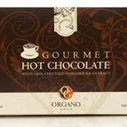 Горячий шоколад Gourmet Hot Chocolate фото