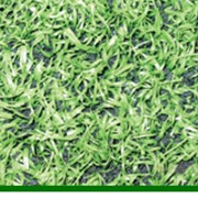 Трава искусственная фото