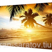 Картина на холсте 33х70 л386 фото