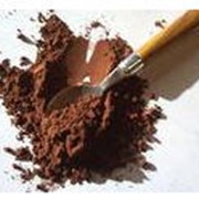 Какао алкализированный фотография