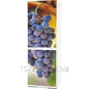 Фасад для холодильников Snaige Артикул: 036 фото