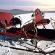 Сани, Сани Морозко посадочных мест 4+2 фото