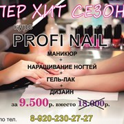 Пакетный Курс Profi Nail фото