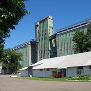 Элеватор в Ростовской области. фото