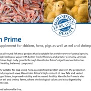 Рыбная мука, протеин - 64%, 68, 72% (Дания) фото