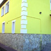 Краски фасадные против грибка и плесени фотография