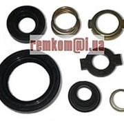Набор уплотнений водяного насоса ЮМЗ-6к, Д-65 фото