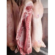 Мясо свинины охлажденные полутуши