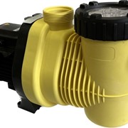 Насос AquaViva SP 15 (220V, пф, 15m3/hх8m, 0,65kW, 0,87HP) фото