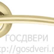 Ручка дверная Mercury-LD22·1SG-GP-4 фото