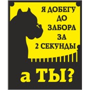 Табличка для территорий «Осторожно, злая собака»