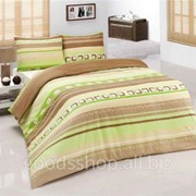 Комплект постельного белья Arya Aleyna бязь полуторный 1001111 фото