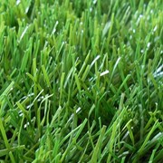 Искусственная трава, монофиламент 50мм фото