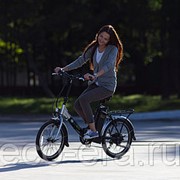Электровелосипед взрослый Eko-Bike 309 Good с корзиной фотография