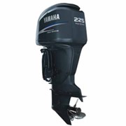 Четырехтактный лодочный мотор FL225 FETX фото