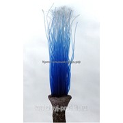Декор из силикона “Водоросли синие“ (7*6*27) (SH 287 B) Vitality фотография