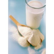 Молоко сухое (СОМ/СЦМ), сыворотка, сливочное масло фото