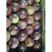 Яблоки свежие сорт Айдаред калибр 75,85 фото