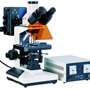 Микроскоп Альтами ЛЮМ 2