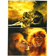 Декупажная карта Семья львов фото