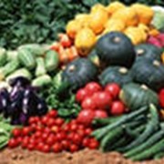 Семена овощных культур пакетированные