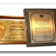 Дипломы наградные фото